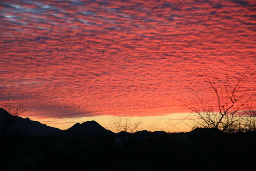 Sonoran sunset